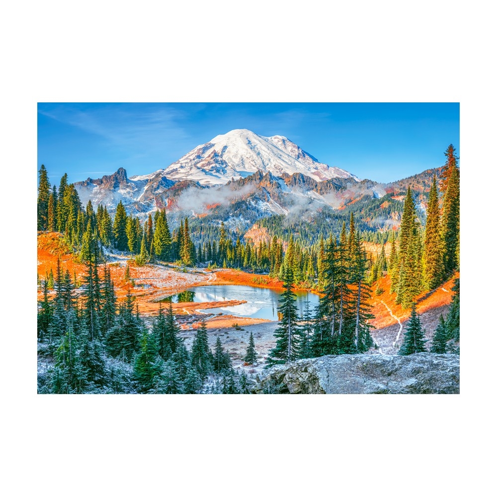 Puzzle 1000 piese, Parcul National Mount Rainier - Castorland - imagine 3