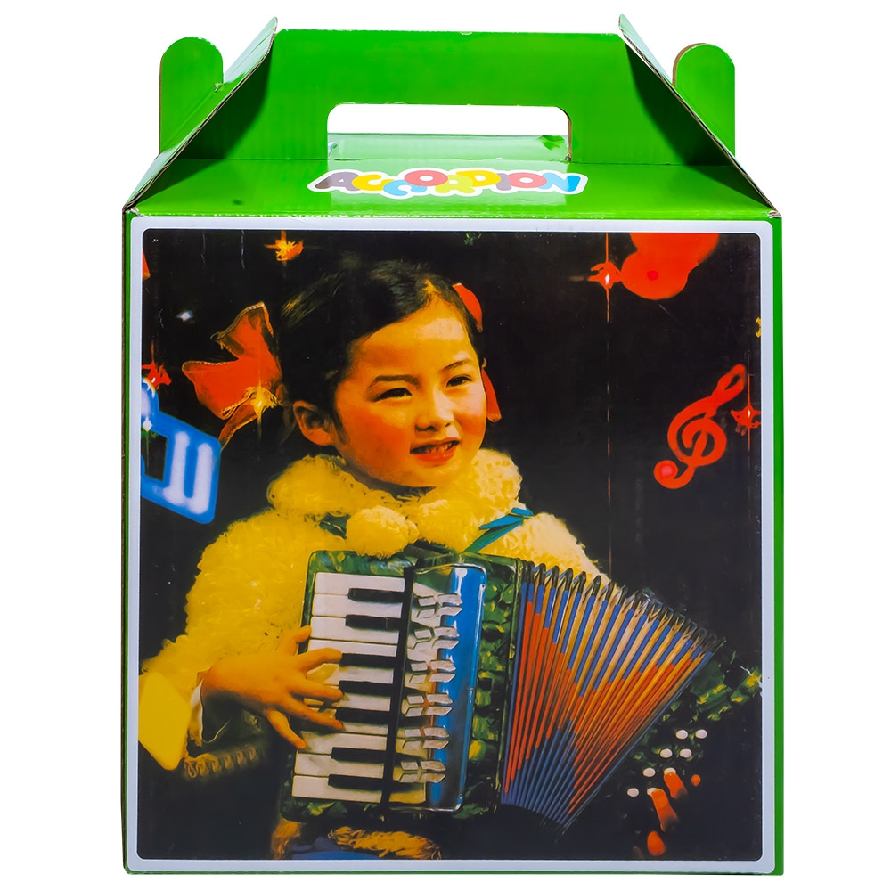 Acordeon, pentru copii, din plastic - imagine 5