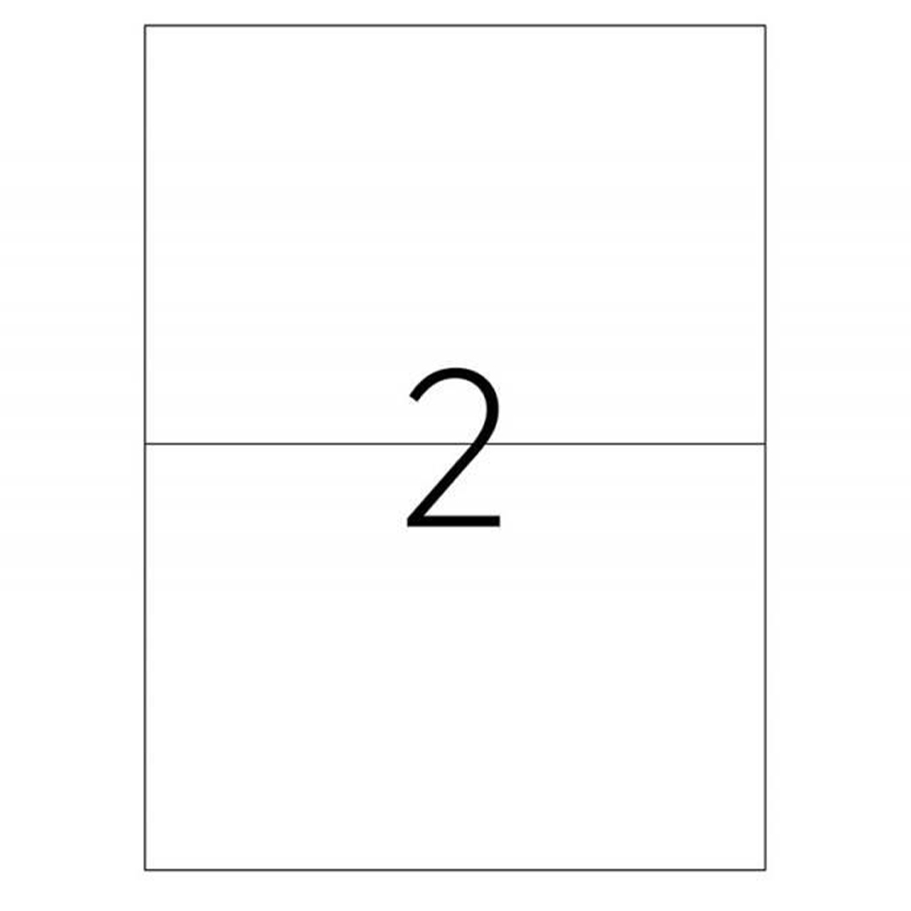 Etichete 210x148.5mm, 2/A4, 100/top - TANEX - imagine 3