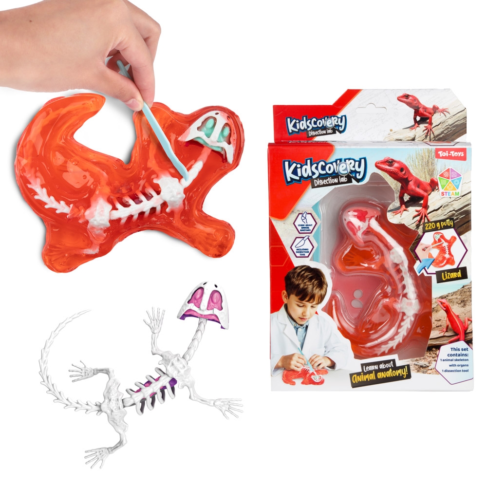 Set slime, Kidscovery - Invata biologia - Toi-Toys - imagine 5
