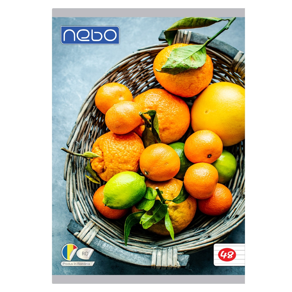 Caiet A4 48 file DR - NEBO - imagine 4