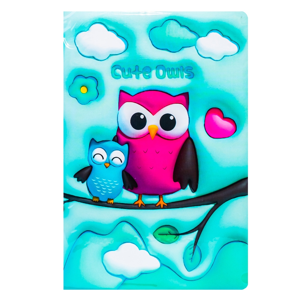 Notes A5, 3D, 80 file, Owl - imagine 5