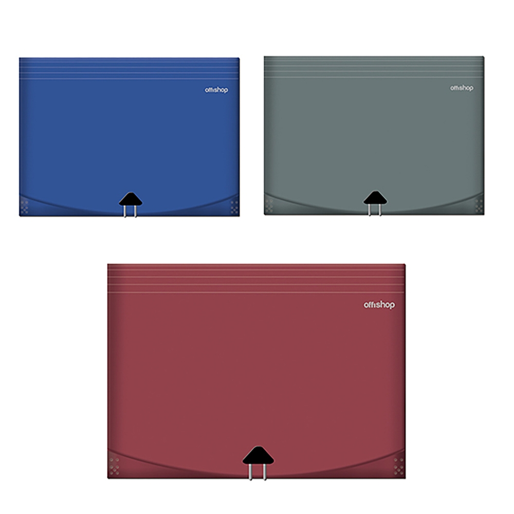 Mapa A4, expandabila, 12 compartimente - OFFISHOP - imagine 3