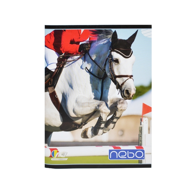 Caiet A5 100 file DR - NEBO - imagine 2