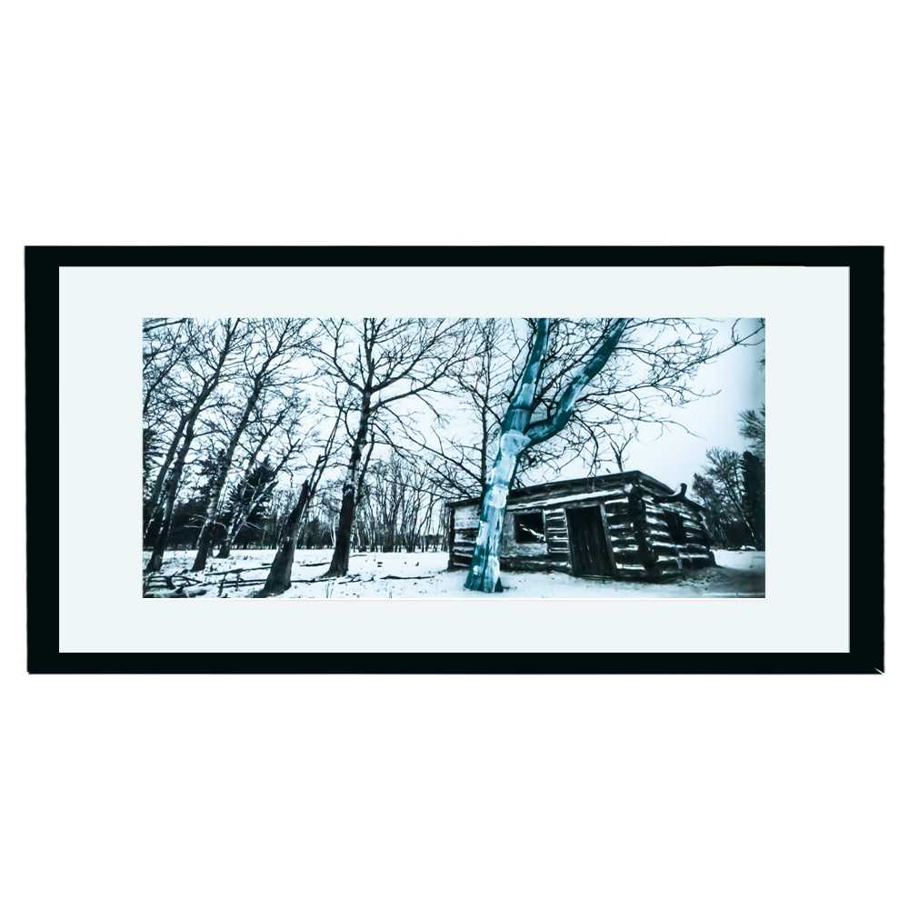 Tablou plastic + sticla, 43x83 cm - imagine 3