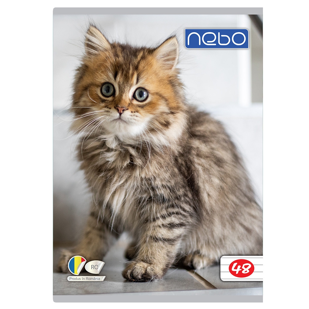 Caiet A5 48 file DR - NEBO - imagine 4