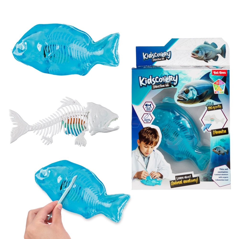 Set slime, Kidscovery - Invata biologia - Toi-Toys - imagine 2