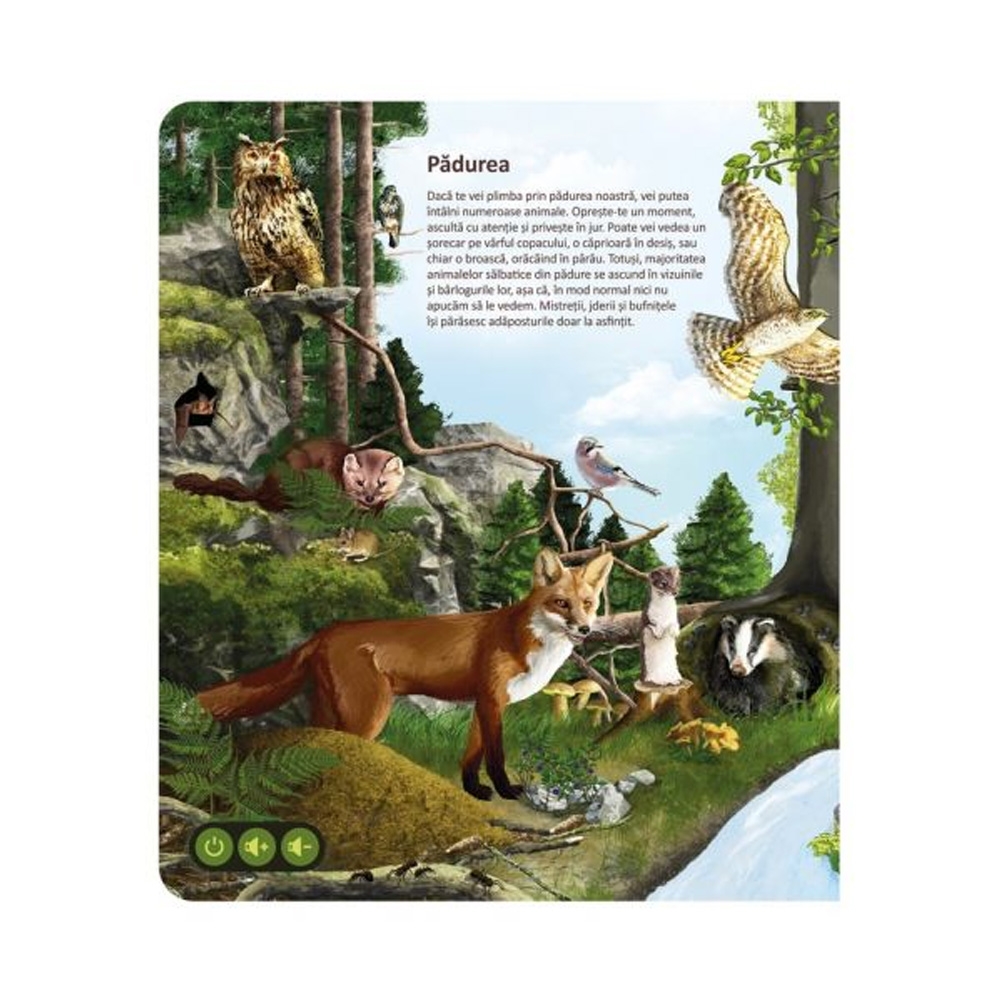 Raspundel Istetel, Carte - Lumea animalelor, ALBI - Blackfire - imagine 3