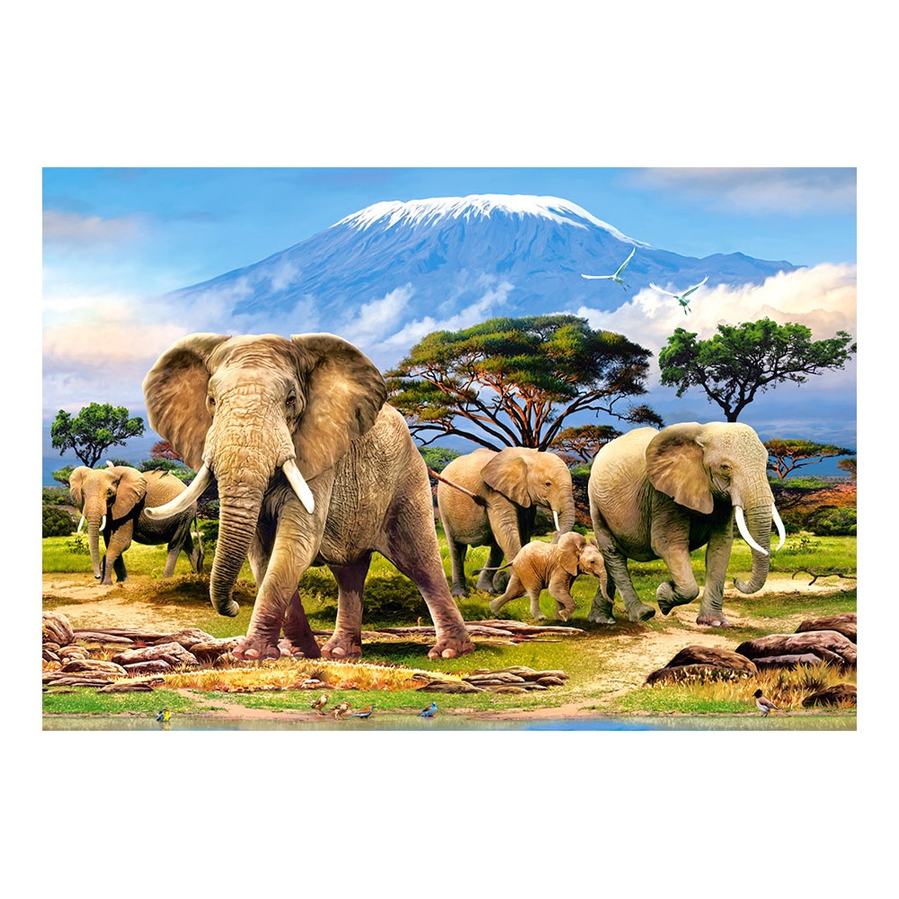 Puzzle 1000 piese - Castorland - imagine 10
