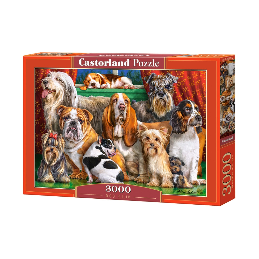 Puzzle 3000 piese - Castorland - imagine 15