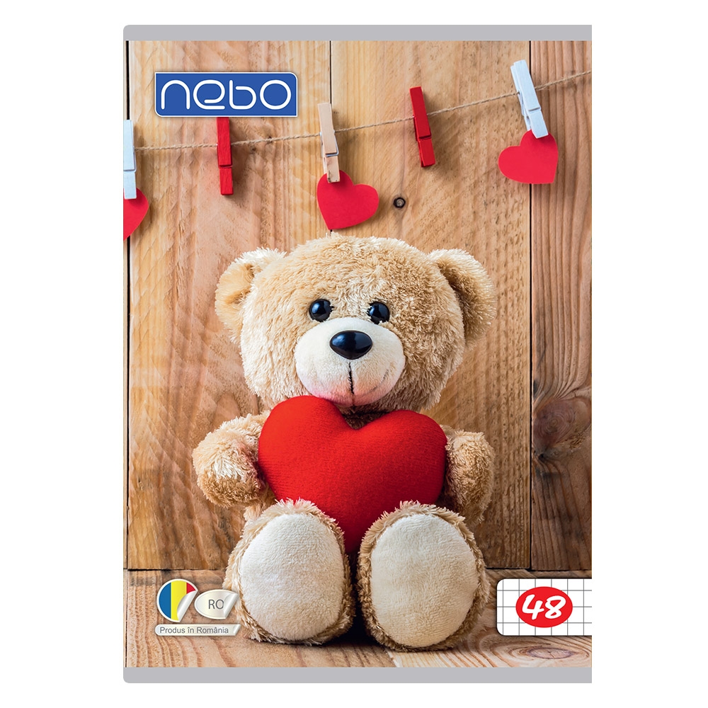 Caiet A5 48 file AR - NEBO - imagine 5