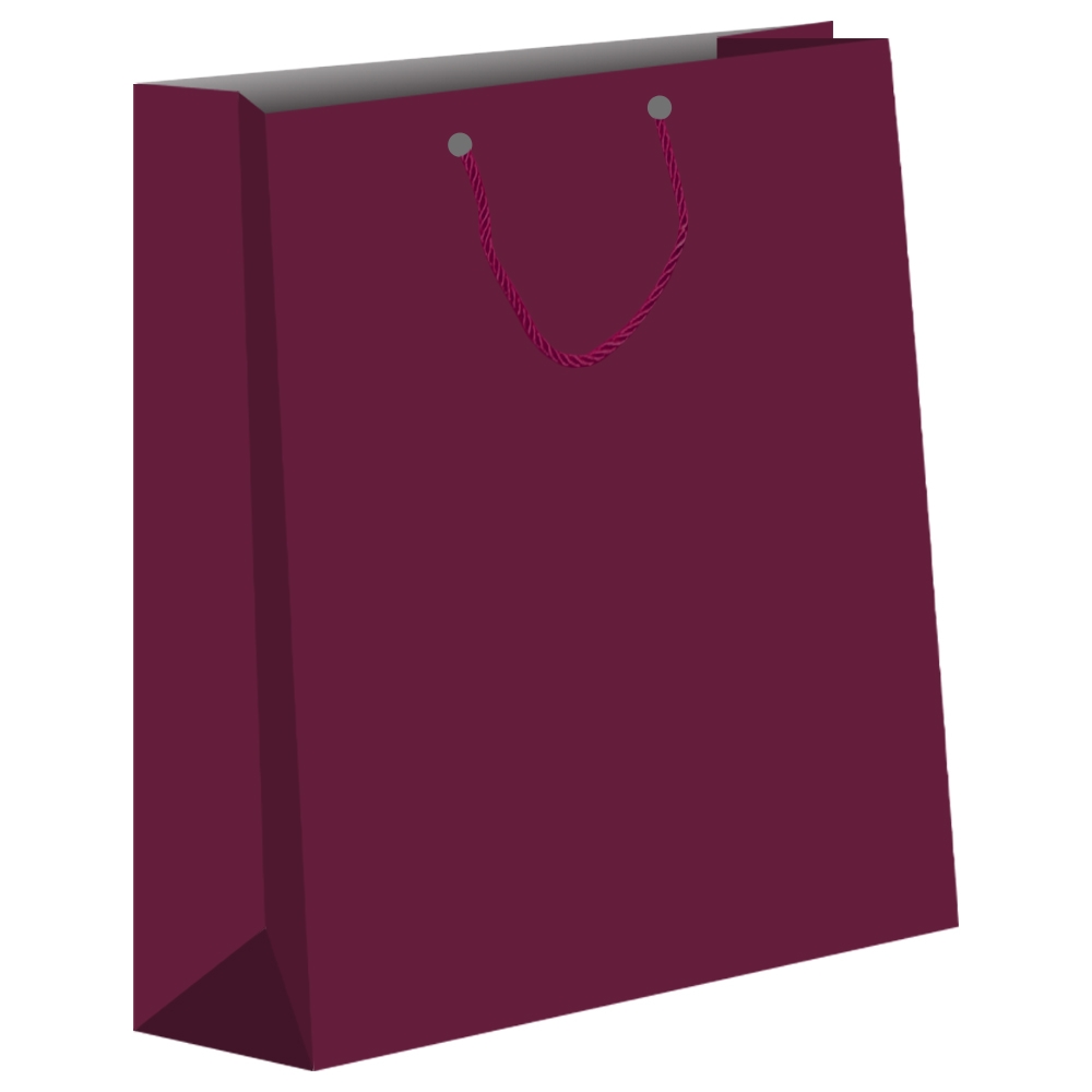 Punga cadou unicolora, 30x41x11 cm - imagine 5