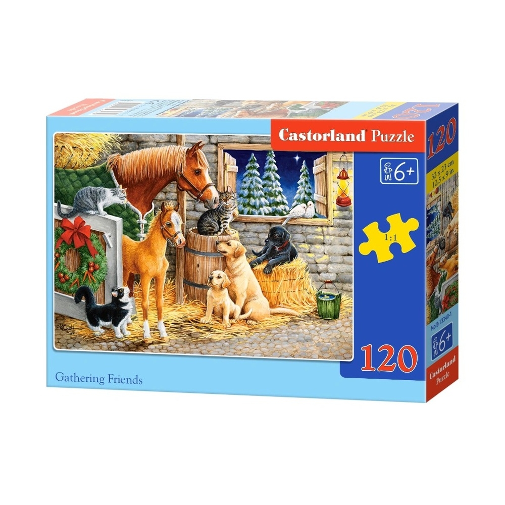 Puzzle 120 piese - Castorland - imagine 18